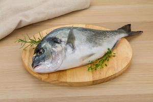 Raw dorado on wooden board and wooden background photo