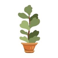 Illustration of a houseplant in a flowerpot vector