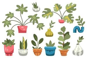 Set of various housplants in pots and vases vector