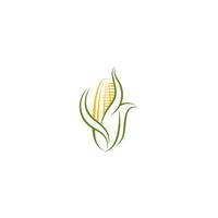 Sweet corn icon logo design vector