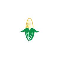 Sweet corn icon logo design vector