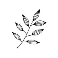 Hand drawn doodle leaf. Vector clipart with branch.