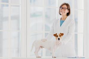 Animal care and health. Indoor shot of woman vet in white gown and medical gloves, stands near examination table, examines dog, pets puppy, pose in modern veterinary clinic against big window. photo