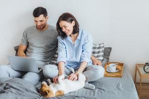 Cheerful brunette young female plays with her favourite dog in bed while her husband surfes social networks on laptop computer, spend weekends at home in bedroom. Domestic atmosphere photo