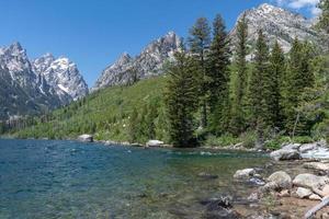 una vista a través del lago jenny en el parque nacional grand teton, wyoming. foto