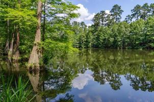 A pond in the Stahl Preserve along the Spring Creek Greenway Trail in Spring, Texas. photo