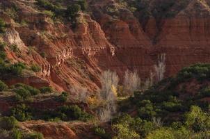 It's the end of autumn and a few trees still hold on to their fall color at Caprock Canyons State Park in Texas. photo