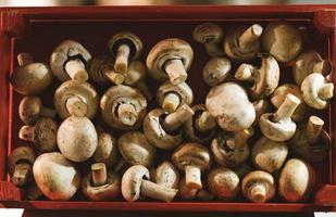 Fresh mushrooms at the hotel buffet photo