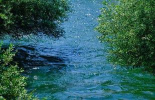 Beautiful river in the forest photo