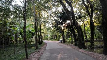 Road pathway in the park for relaxing walking jogging landscape photo