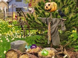 scarecrow for thanksgiving with pumpkin head photo