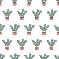 seamless pattern with beautiful houseplants. Flat cartoon vector illustration.