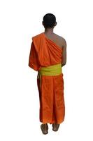 Asian Monk Crop Out photo