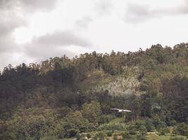 Views of Pontedeume photo