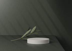 Abstract white round corner pedestal podium with leaf, Product display podium in room, 3d rendering studio with geometric shapes, Cosmetic product minimal scene with platform, Stand to show products photo