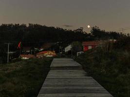 Doninos at night photo