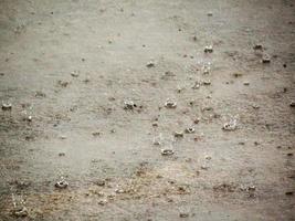 Drops of rain against the concrete photo