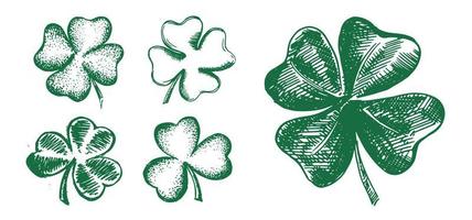 Clover set. Patrick's day. Hand drawn illustration. vector