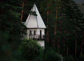 White turret against a dark forest photo