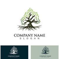 Tree logo nature design image of tree ecology element vector