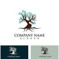 Tree logo nature design image of tree ecology element vector