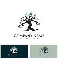 Tree logo nature design image of tree ecology element vector