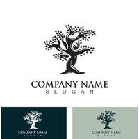 Tree logo nature design image of tree ecology element vector