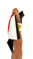 Hand fist holding Egyptian flag. Hand lifted and grabbing flag isolated on transparent background. 3d rendering of Flag wrapped around fist png