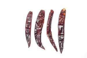 Dried red chili of various sizes placed in a row isolated on white background. photo