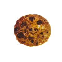 aquarellbäckereiplätzchen png