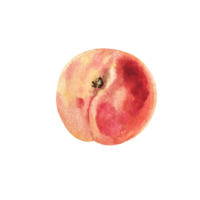 rebanada de fruta de durazno acuarela png