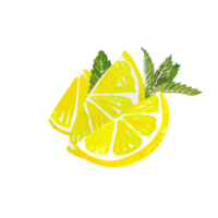 vattenfärg citrus- citron- skiva png