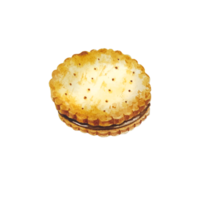 galleta de panadería de acuarela png