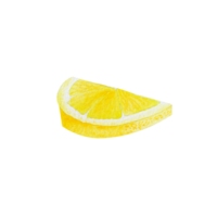 Watercolor citrus slice png