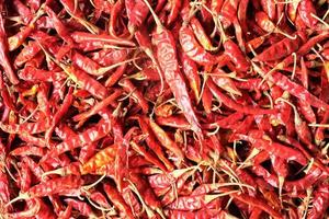 Red dried chillies background, Chillies texture photo