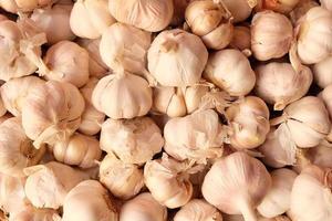 Large garlic background, Garlics texture photo
