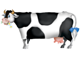 dibujo en color de una vaca con una gran ubre para el diseño de la leche. png