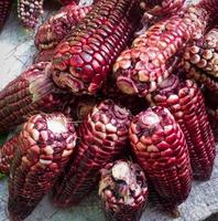 Black corn from a traditional local market in Indonesia photo