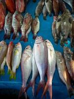 pescado fresco del mercado tradicional foto