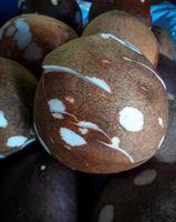 Raw coconut for making coconut milk photo