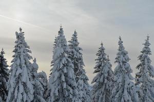 paisaje de montaña de invierno foto