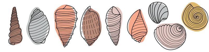 Set of line art sketch seashells. Vector illustration isolated from background. Decoration symbol of health calcium. Different shapes of shells. Sea ocean icon. Sand and beach design.