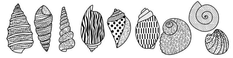 Set of line art sketch seashells. Vector illustration isolated from background. Decoration symbol of health calcium. Different shapes of shells. Sea ocean icon. Sand and beach design.