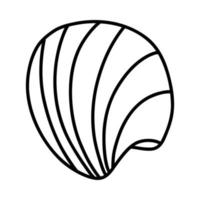 Line art sketch seashells. Vector illustration isolated from background. Decoration symbol of health calcium. Different shapes of shells. Sea ocean icon. Sand and beach design.