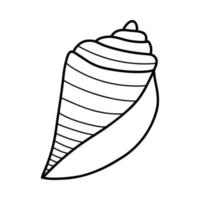 Line art sketch seashells. Vector illustration isolated from background. Decoration symbol of health calcium. Different shapes of shells. Sea ocean icon. Sand and beach design.