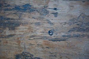 Wood texture background photo