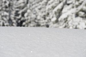 fondo de nieve de invierno foto