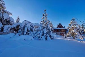 cabaña de madera con nieve fresca en la fría mañana de invierno