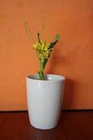 Yellow flowers in a white vase photo