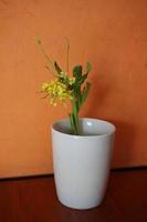 Yellow flowers in a white vase photo